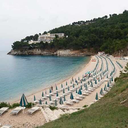 La Finestra Sul Mare - Antonella Apartment Vieste Zewnętrze zdjęcie