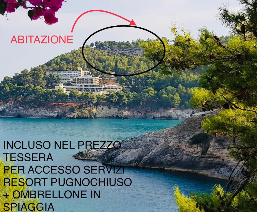 La Finestra Sul Mare - Antonella Apartment Vieste Zewnętrze zdjęcie